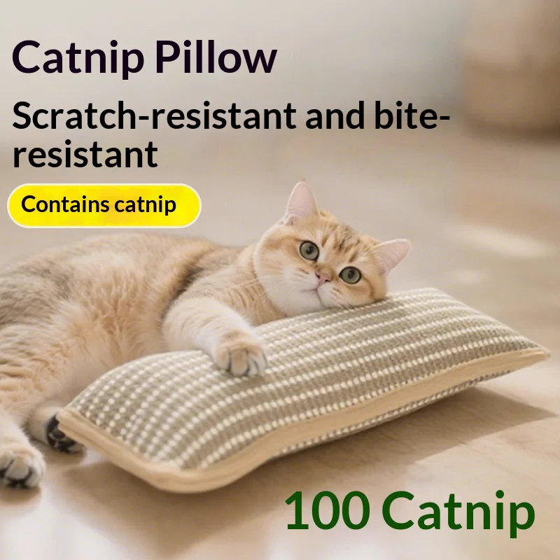 Catnip Scratch Pad