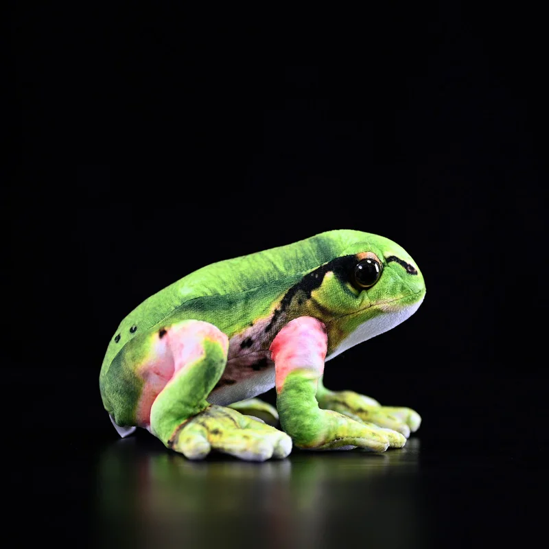 Lifelike Tree Frog Plush
